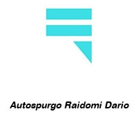 Logo Autospurgo Raidomi Dario