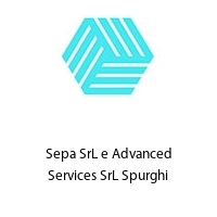 Sepa SrL e Advanced Services SrL Spurghi