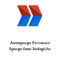Logo Autospurgo Perronace Spurgo fosse biologiche