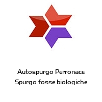 Autospurgo Perronace Spurgo fosse biologiche