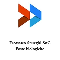 Logo Frossasco Spurghi SnC Fosse biologiche