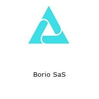 Logo Borio SaS