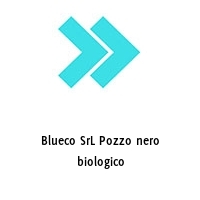 Logo Blueco SrL Pozzo nero biologico