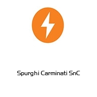 Logo Spurghi Carminati SnC