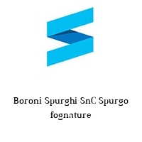 Boroni Spurghi SnC Spurgo fognature