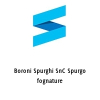 Logo Boroni Spurghi SnC Spurgo fognature