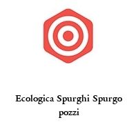 Logo Ecologica Spurghi Spurgo pozzi
