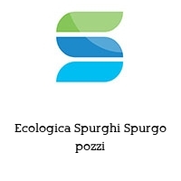 Logo Ecologica Spurghi Spurgo pozzi