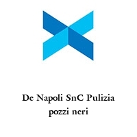 Logo De Napoli SnC Pulizia pozzi neri