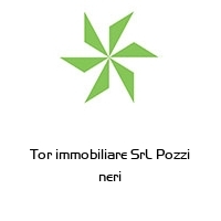 Tor immobiliare SrL Pozzi neri