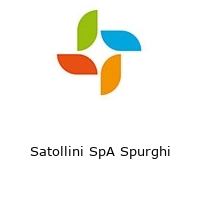 Logo Satollini SpA Spurghi