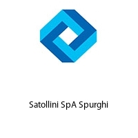 Logo Satollini SpA Spurghi