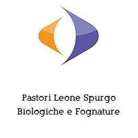 Logo Pastori Leone Spurgo Biologiche e Fognature