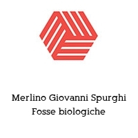 Logo Merlino Giovanni Spurghi Fosse biologiche