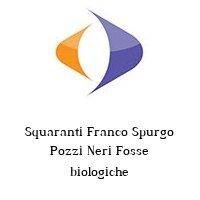 Logo Squaranti Franco Spurgo Pozzi Neri Fosse biologiche