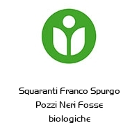 Logo Squaranti Franco Spurgo Pozzi Neri Fosse biologiche