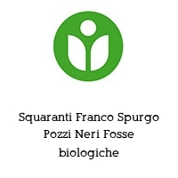 Squaranti Franco Spurgo Pozzi Neri Fosse biologiche