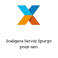 Scaligera Servizi Spurgo pozzi neri