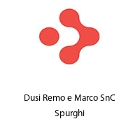 Logo Dusi Remo e Marco SnC Spurghi