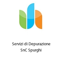 Logo  Servizi di Depurazione SnC Spurghi