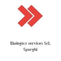 Logo Ekologica services SrL Spurghi