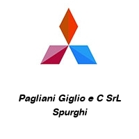 Pagliani Giglio e C SrL Spurghi