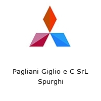 Logo Pagliani Giglio e C SrL Spurghi