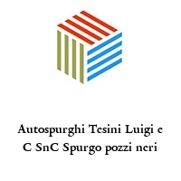 Logo Autospurghi Tesini Luigi e C SnC Spurgo pozzi neri