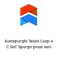 Autospurghi Tesini Luigi e C SnC Spurgo pozzi neri