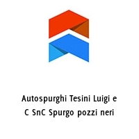 Logo Autospurghi Tesini Luigi e C SnC Spurgo pozzi neri