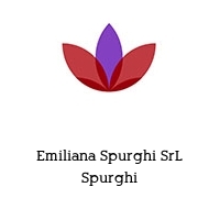 Logo Emiliana Spurghi SrL Spurghi