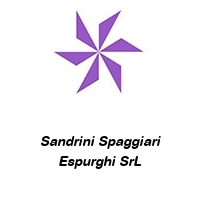 Logo Sandrini Spaggiari Espurghi SrL