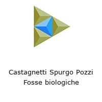 Logo Castagnetti Spurgo Pozzi Fosse biologiche