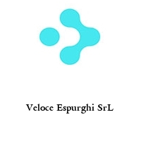 Logo Veloce Espurghi SrL