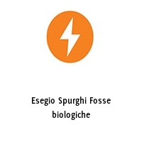 Logo Esegio Spurghi Fosse biologiche