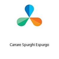 Logo Carrare Spurghi Espurgo