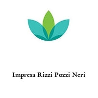 Impresa Rizzi Pozzi Neri