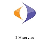 Logo B M service