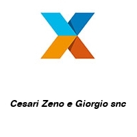 Logo Cesari Zeno e Giorgio snc 