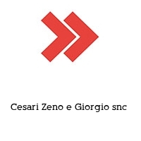 Cesari Zeno e Giorgio snc 