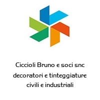 Logo Ciccioli Bruno e soci snc decoratori e tinteggiature civili e industriali