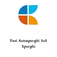 Logo Fusi Autospurghi SaS Spurghi