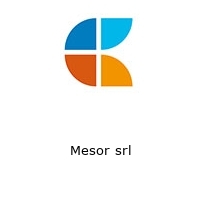 Logo Mesor srl