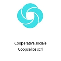 Logo Cooperativa sociale Coopselios scrl