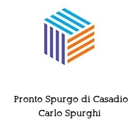 Logo  Pronto Spurgo di Casadio Carlo Spurghi