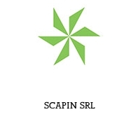 Logo SCAPIN SRL