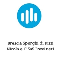 Logo Brescia Spurghi di Rizzi Nicola e C SaS Pozzi neri