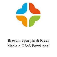 Brescia Spurghi di Rizzi Nicola e C SaS Pozzi neri