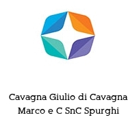 Logo Cavagna Giulio di Cavagna Marco e C SnC Spurghi