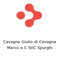 Logo Cavagna Giulio di Cavagna Marco e C SnC Spurghi